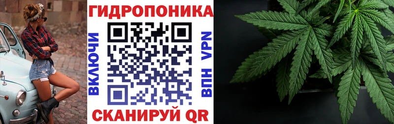 Виды наркотиков купить Ногинск Канабис  Alpha-PVP  Меф  Метамфетамин  КОКАИН 