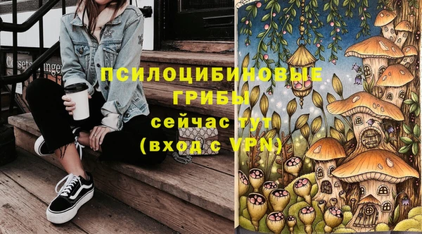 марки lsd Козловка