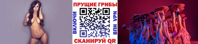 Галлюциногенные грибы прущие грибы  закладка  Ногинск 
